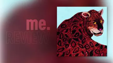 Review: CS Cleaners – WHAT’S THIS?: Backkatalog als Tanzfläche